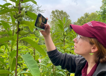 Does Alma Mater Impact Gameplay in NCAA 25? Key Insights on Its Role