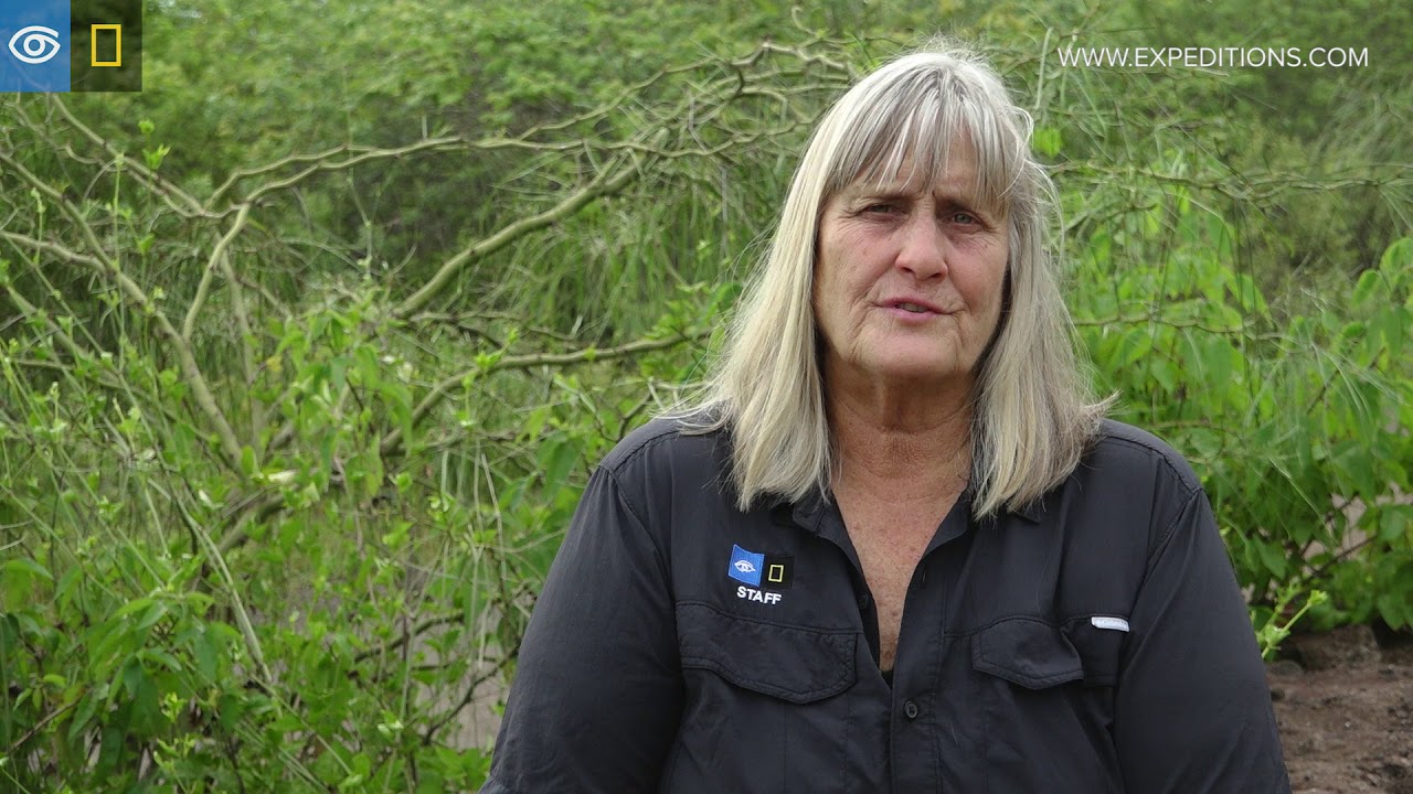 The Truth about Lynn Fowler: Facts and Insights