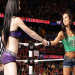 aj lee on wwe championship wins(how many titles did she have)