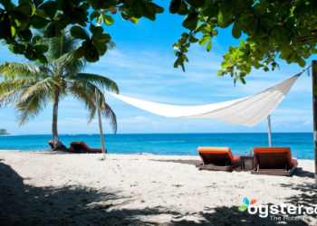 What Type of Skin Is Soverign Rico Best For? Easy Tips!