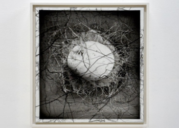 Manifest Destiny Gray Zone for Beginners and Beyond